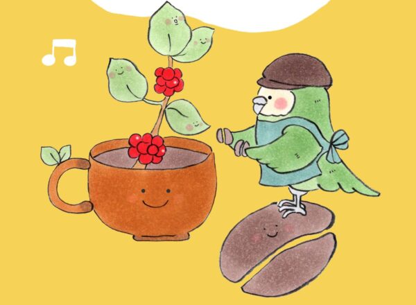 豆のまま販売中～🎵（マルカラ編）